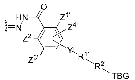 Figure 0007442821000114