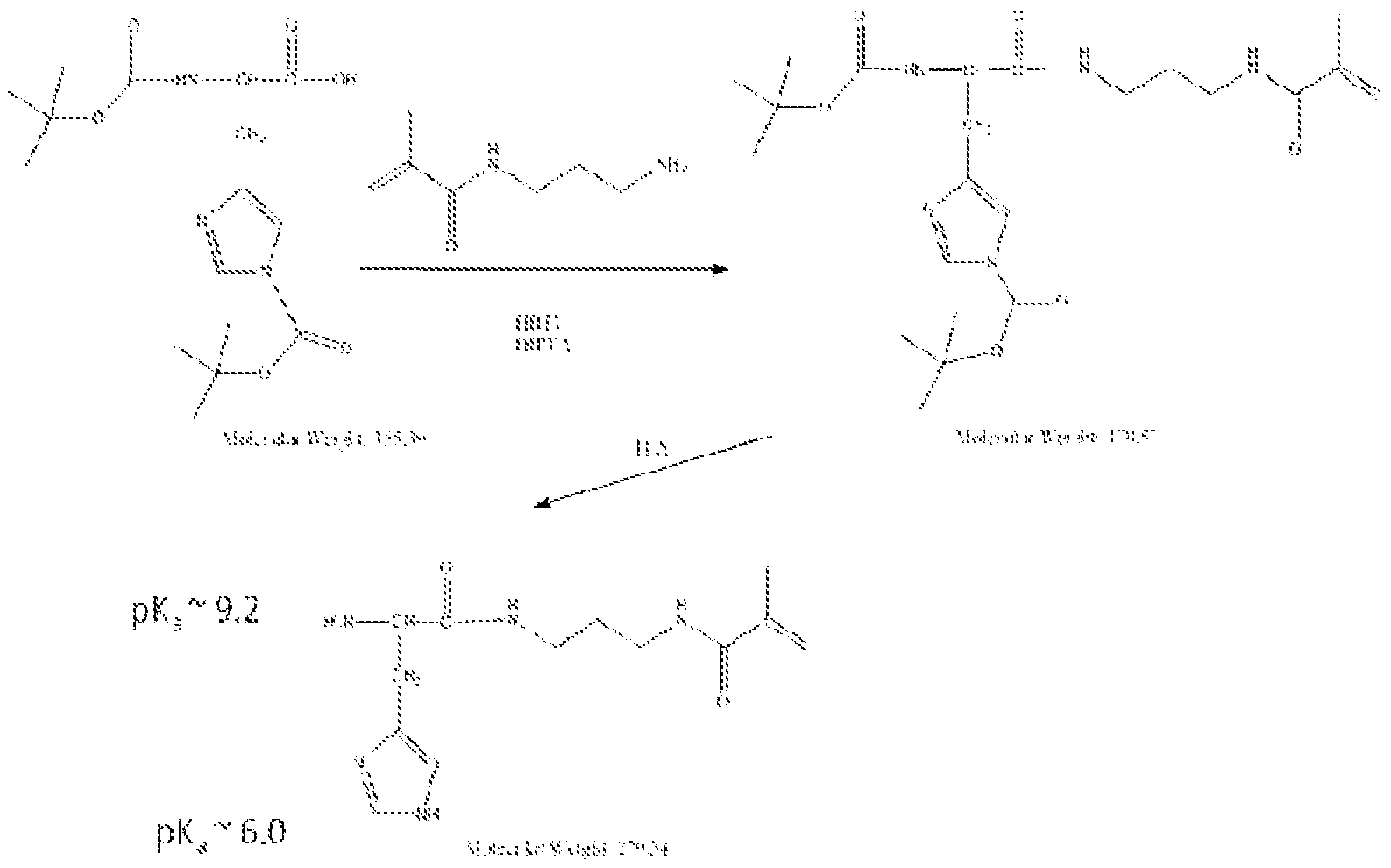 Figure imgf000091_0002