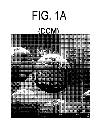 Figure 2024540840000001