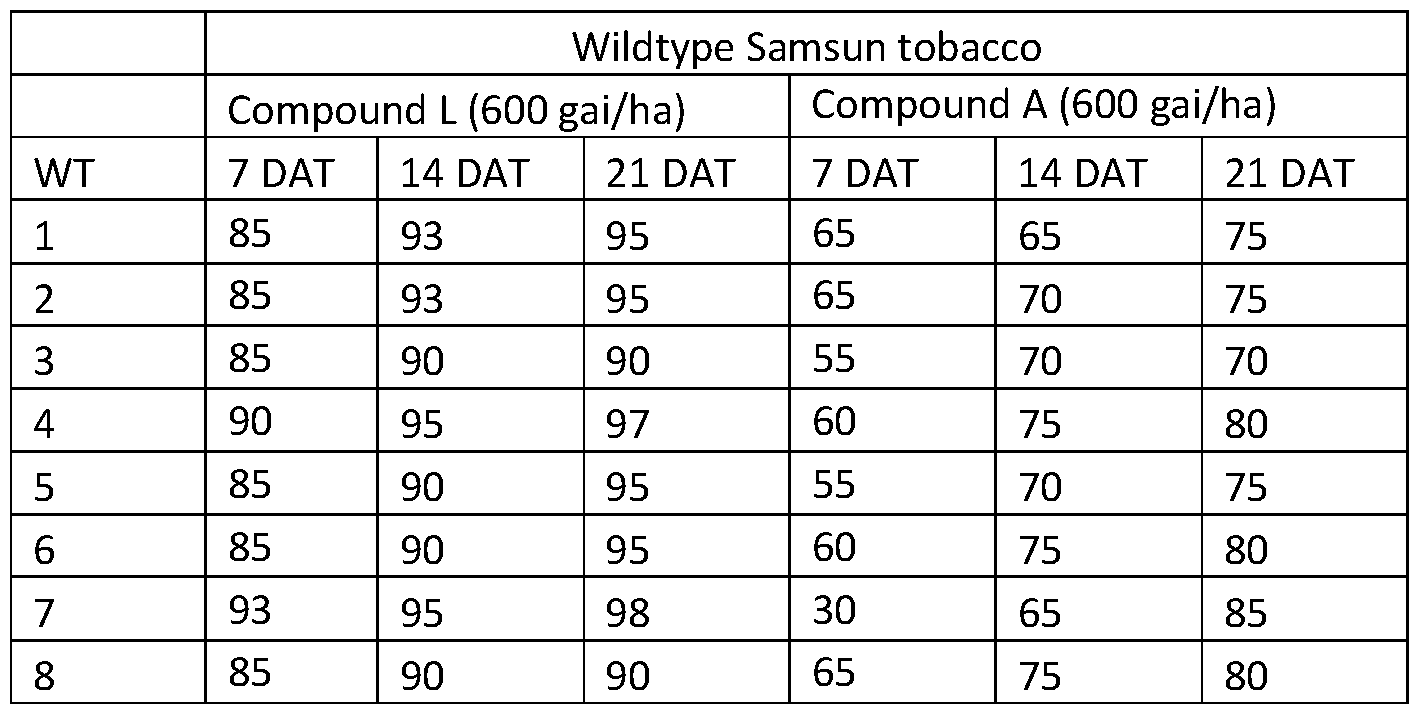 Figure imgf000175_0003