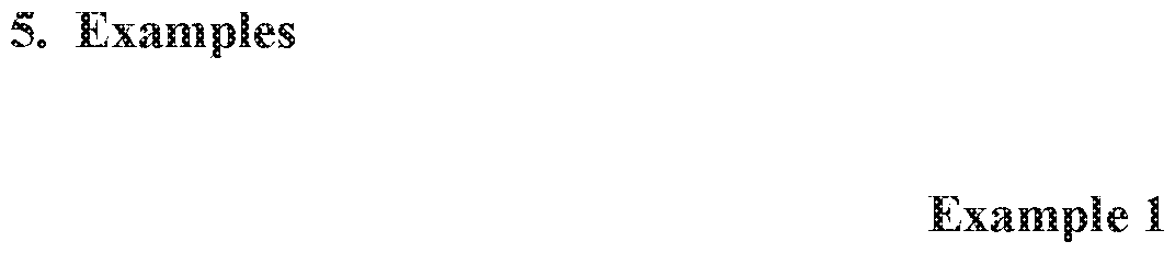 Figure imgf000021_0001