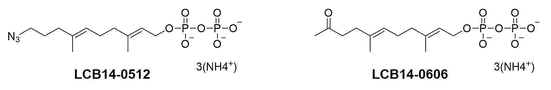 Figure PCTKR2022007260-appb-img-000144