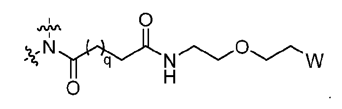 Figure imgf000019_0007