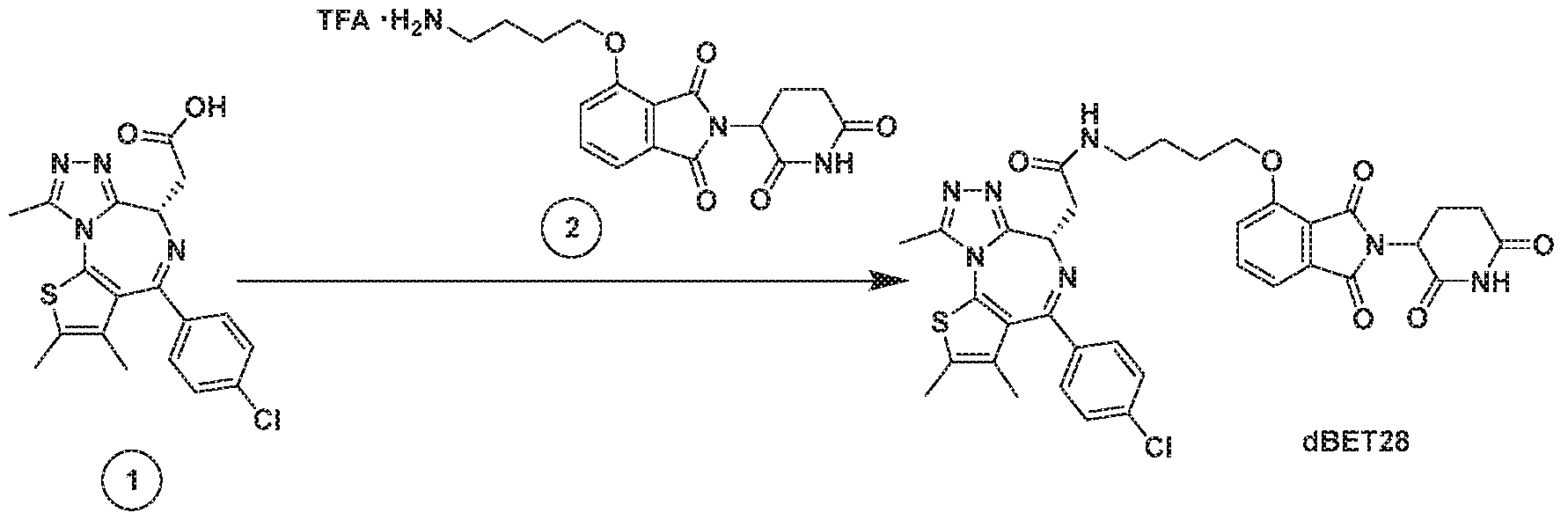 Figure imgf000268_0001