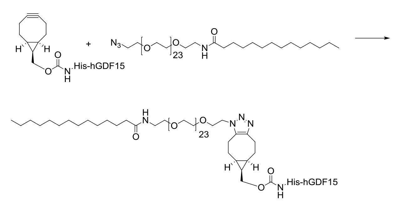 Figure 2022095757000152