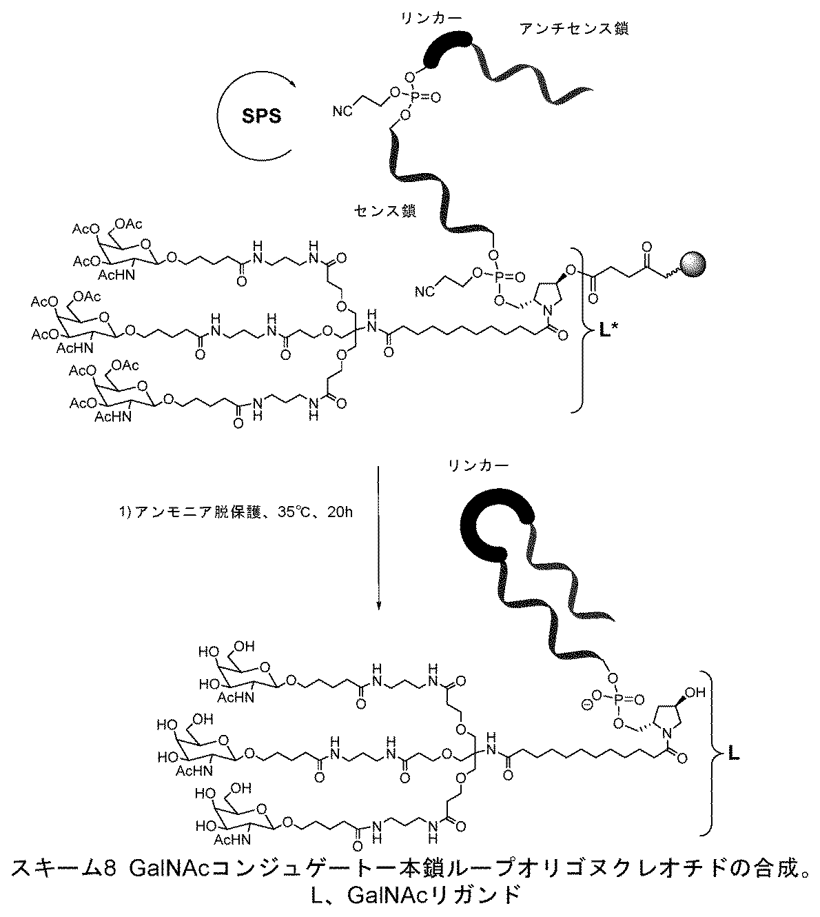 Figure 2025516680000209