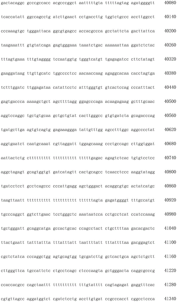 Figure IDA0003936212790000501