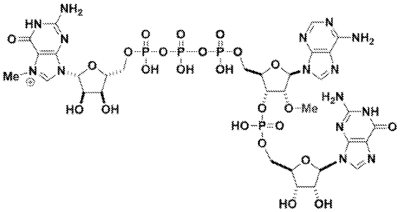 Figure imgf000036_0001