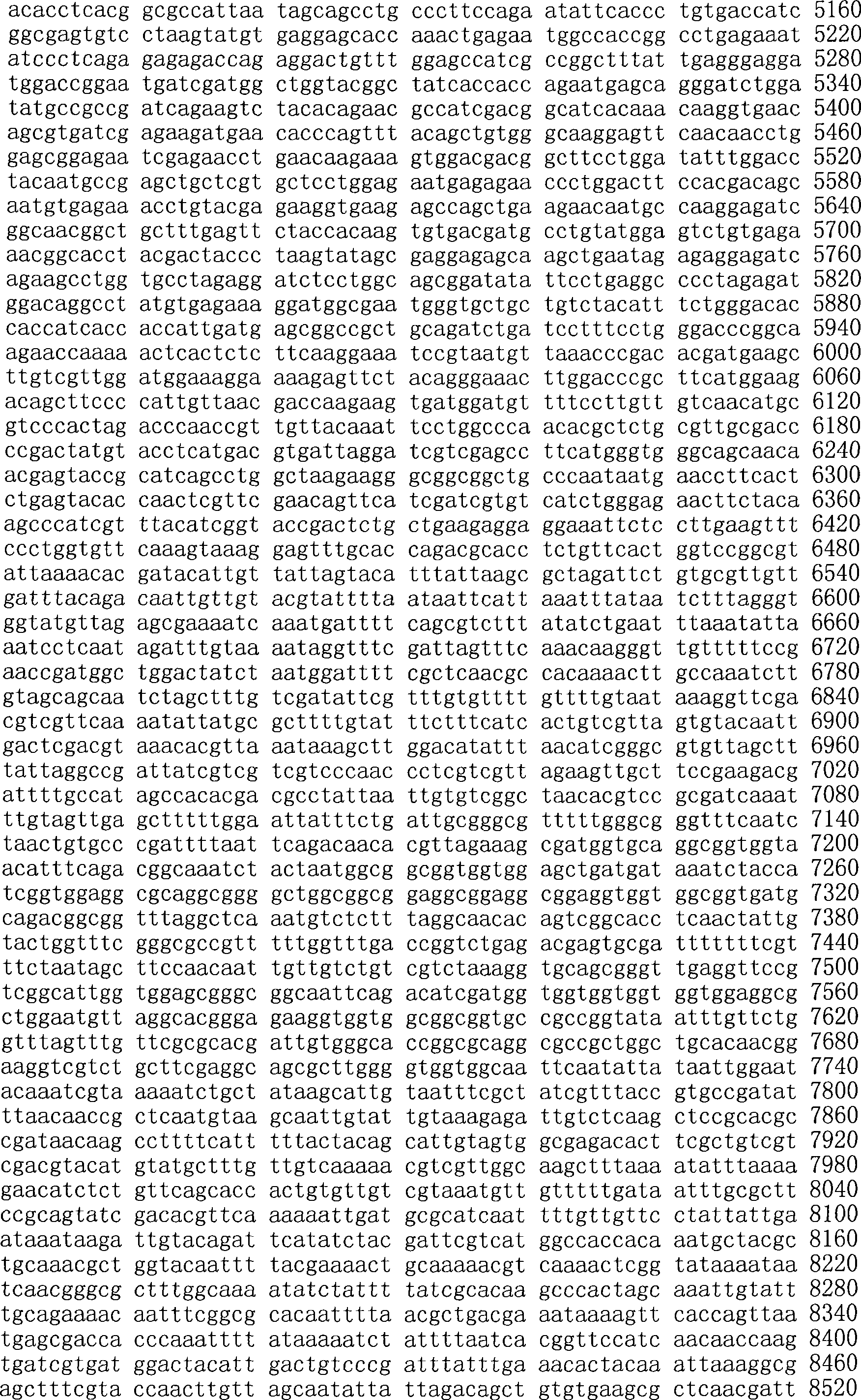 Figure A200780009494D02991