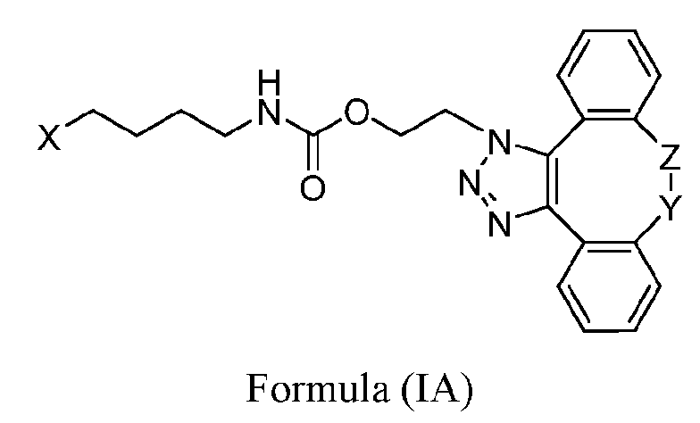Figure imgf000006_0001