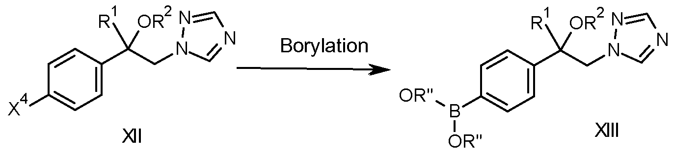 Figure imgf000011_0002