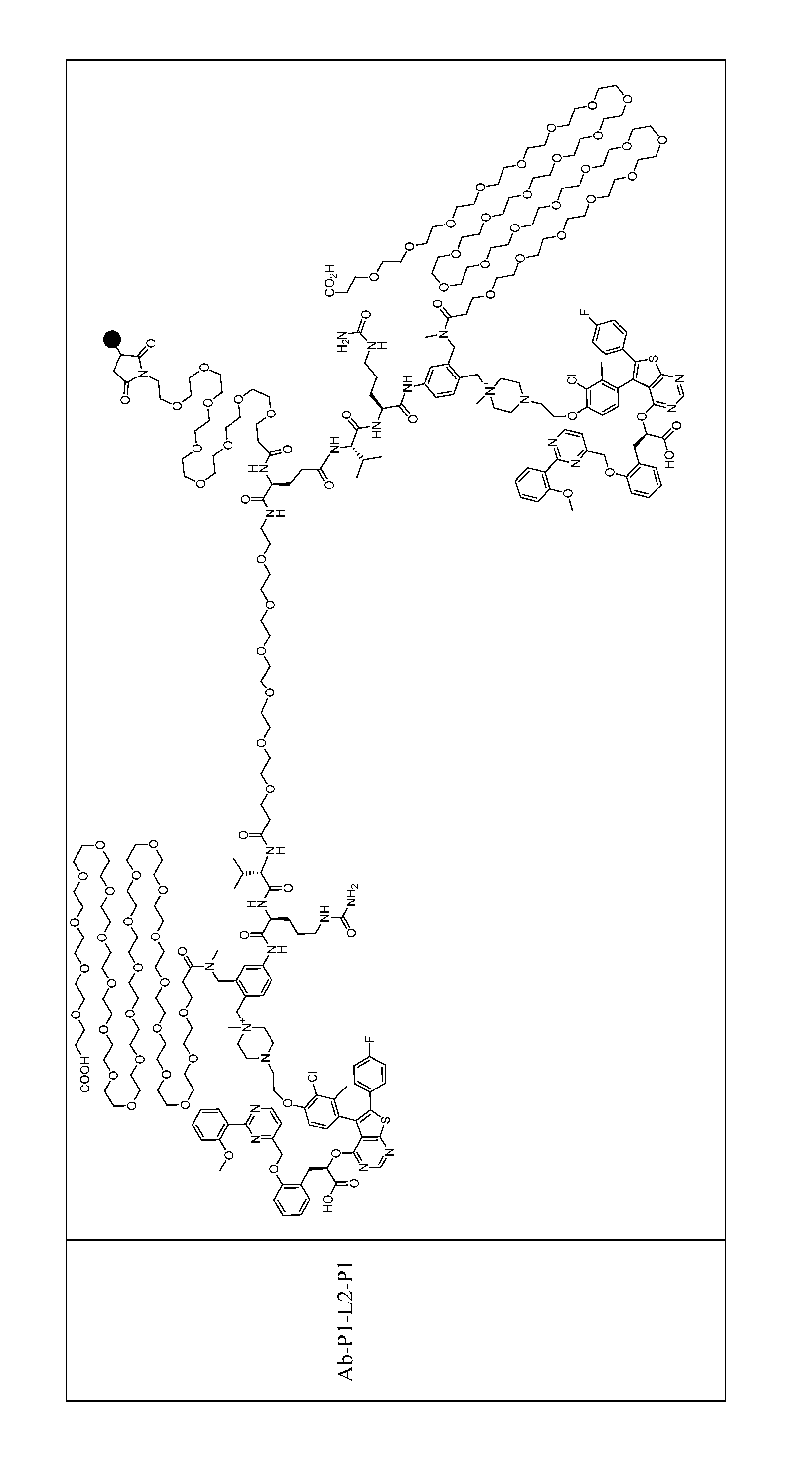 Figure imgf000158_0001