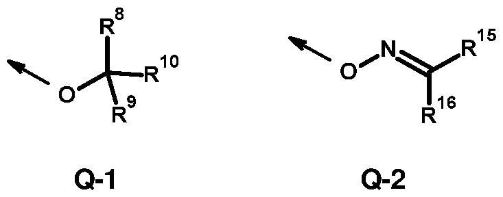 Figure imgf000011_0001