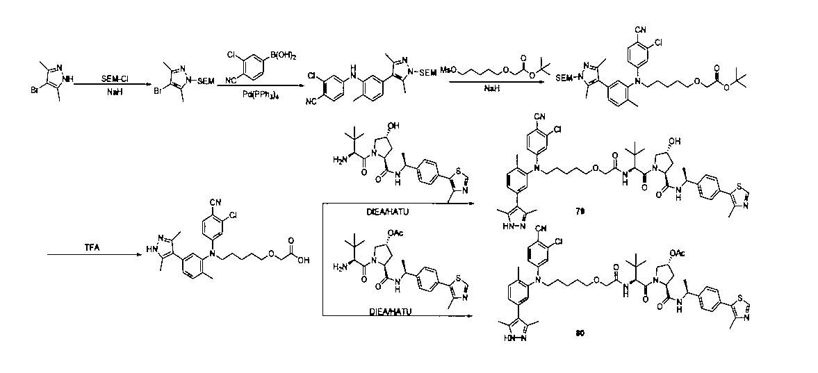 Figure 2022533147000147
