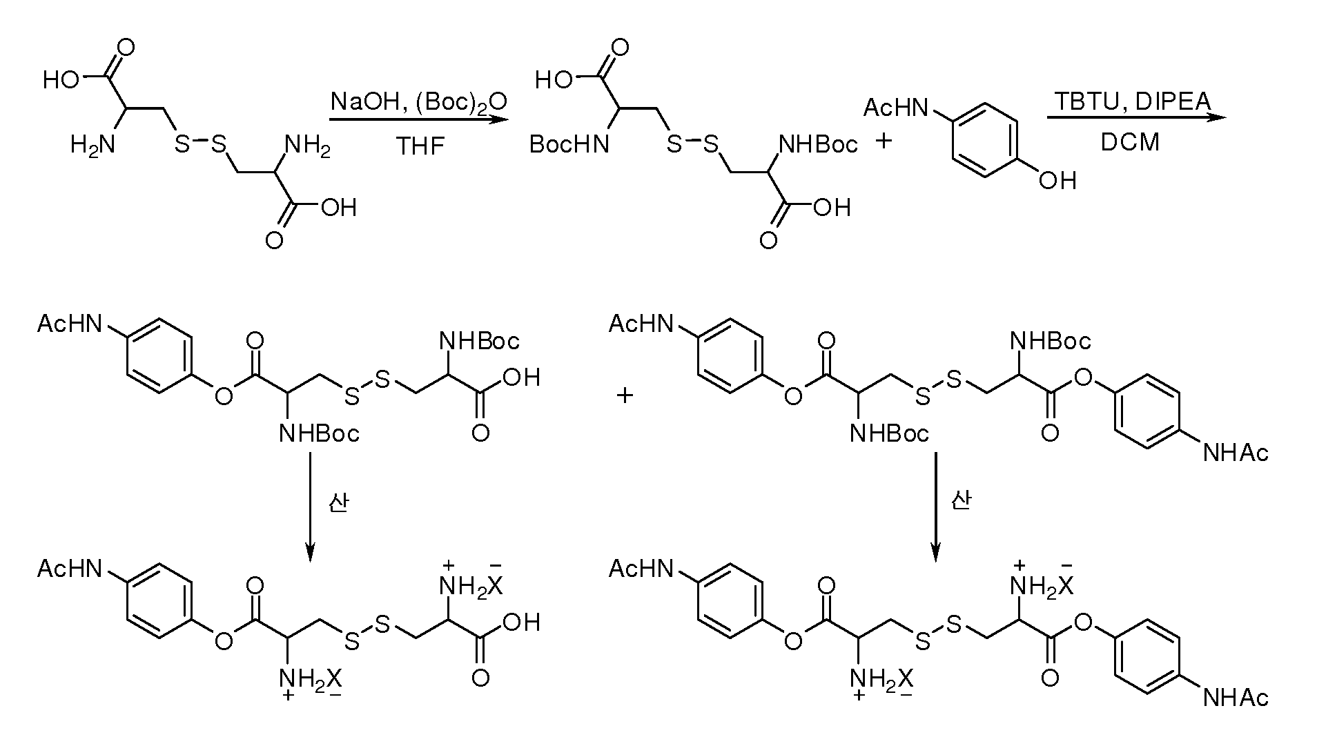 Figure 112010083537304-pct00030