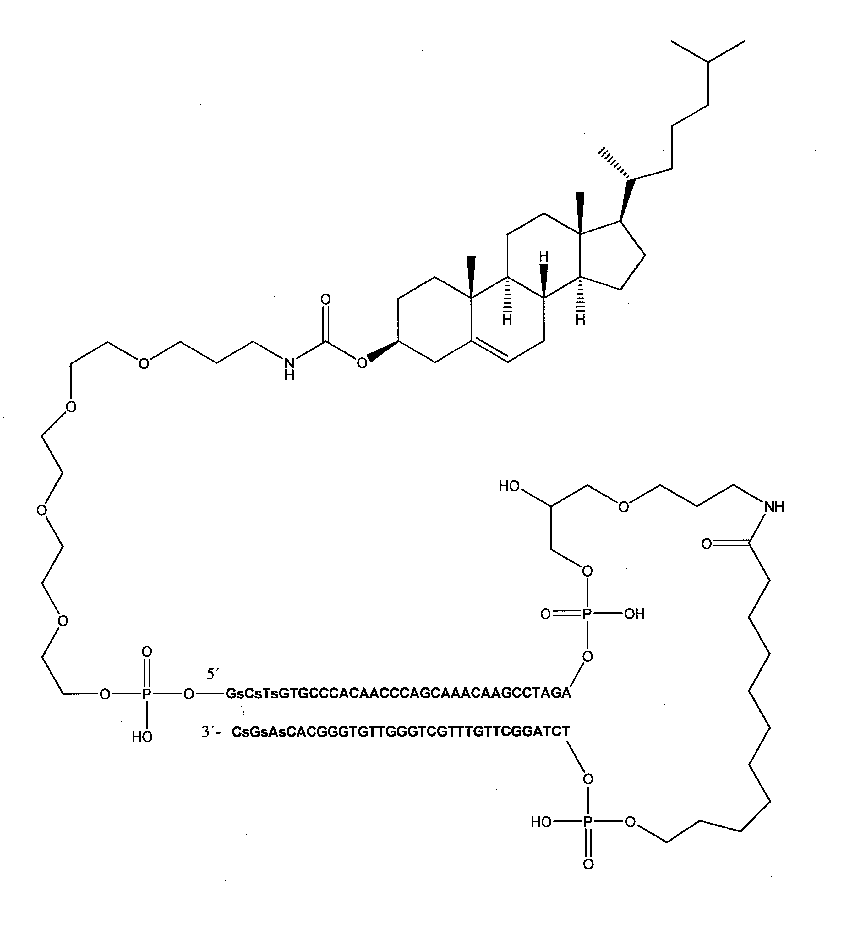 Figure 2022526713000004