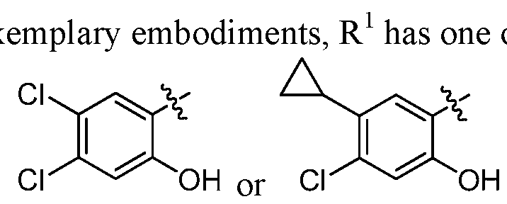 Figure imgf000031_0001