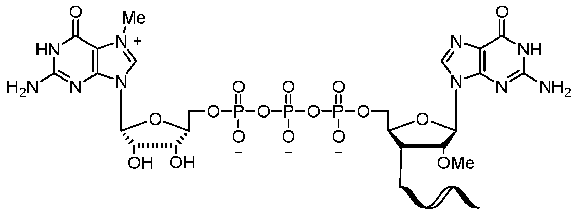 Figure imgf000052_0002