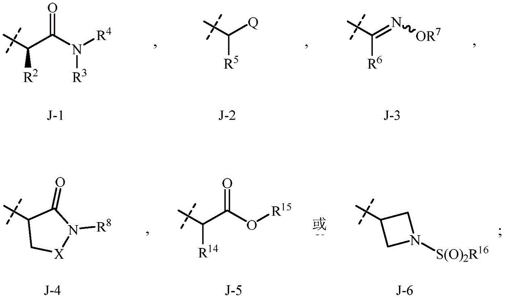 Figure BDA0002715387360000012