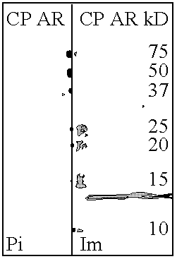 Figure US20100183617A1-20100722-C00002