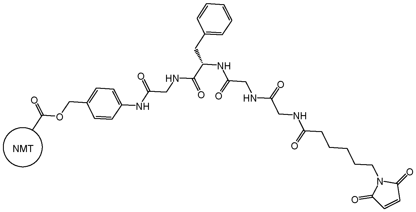Figure imgf000037_0001