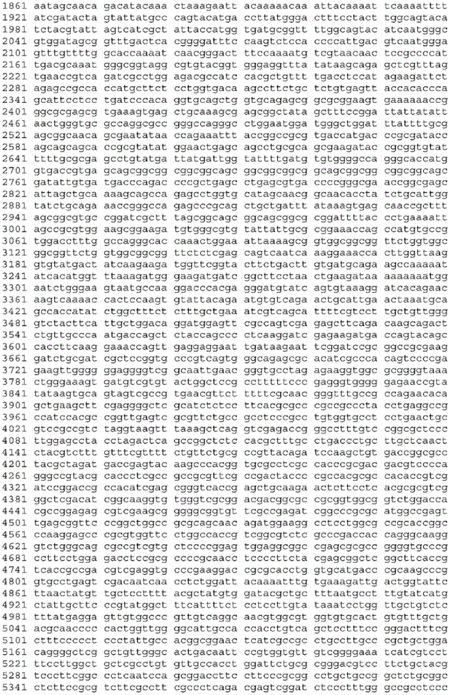 Figure BDA0003465582640001431