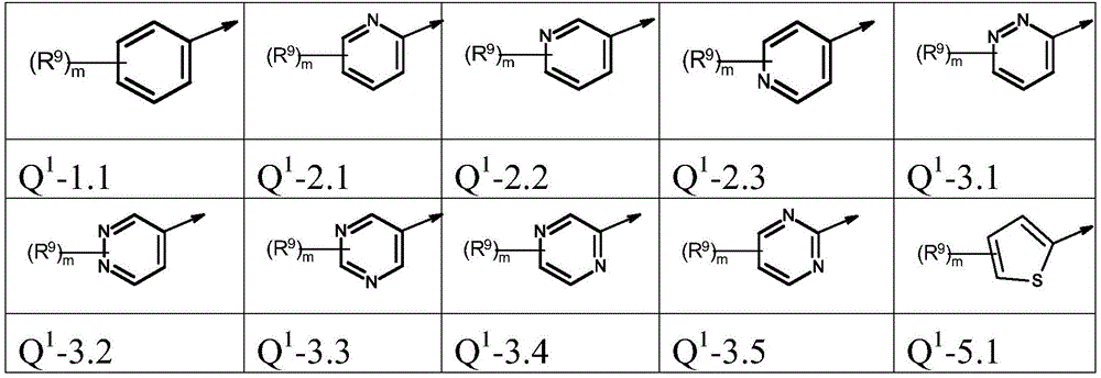 Figure FDA0003773017420000061