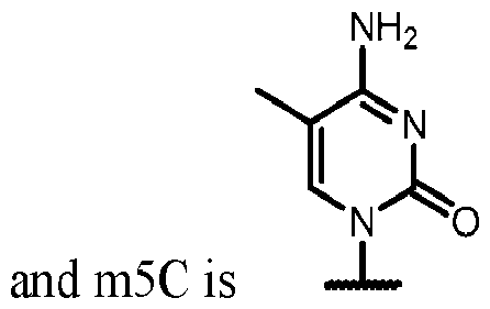 Figure imgf000024_0002