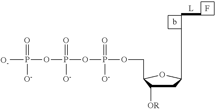 Figure US20110014611A1-20110120-C00083