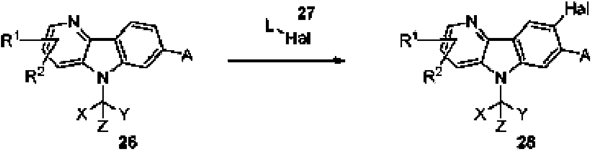 Figure imgf000024_0003