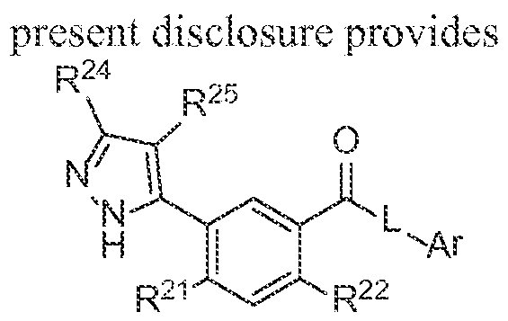 Figure imgf000004_0001