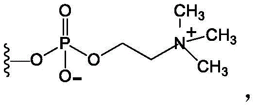 Figure BDA0003687503850000812