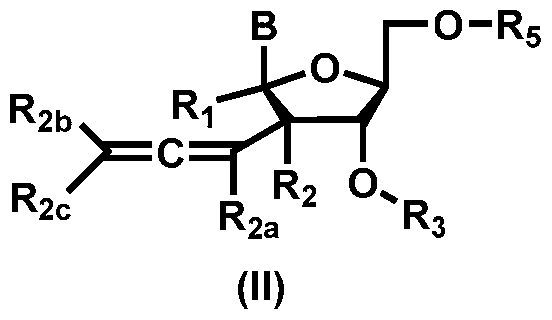 Figure imgf000011_0001