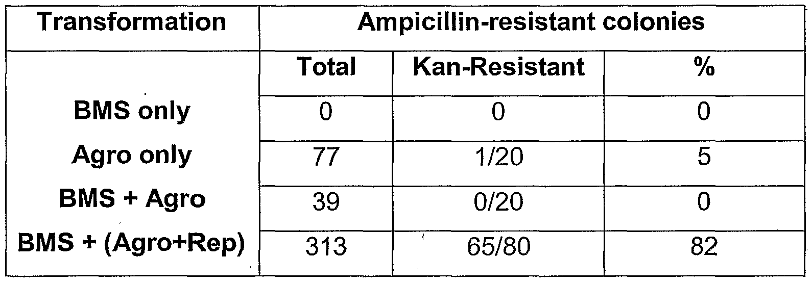 Figure imgf000040_0001