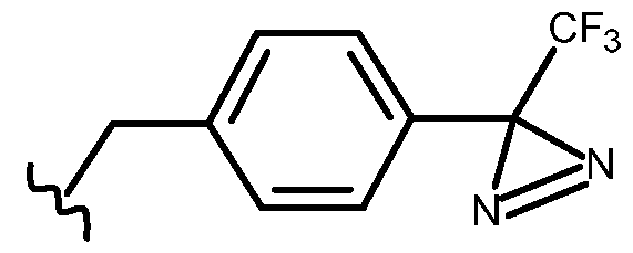 Figure imgf000073_0001