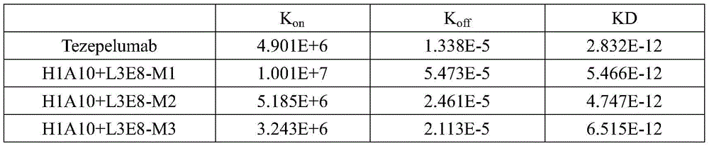 Figure BDA0002380112030000242