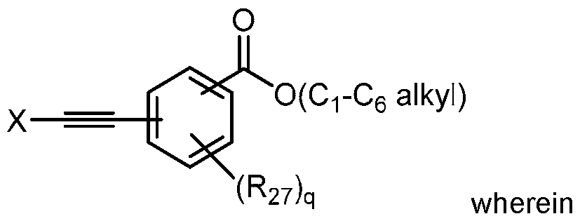 Figure imgf000009_0001