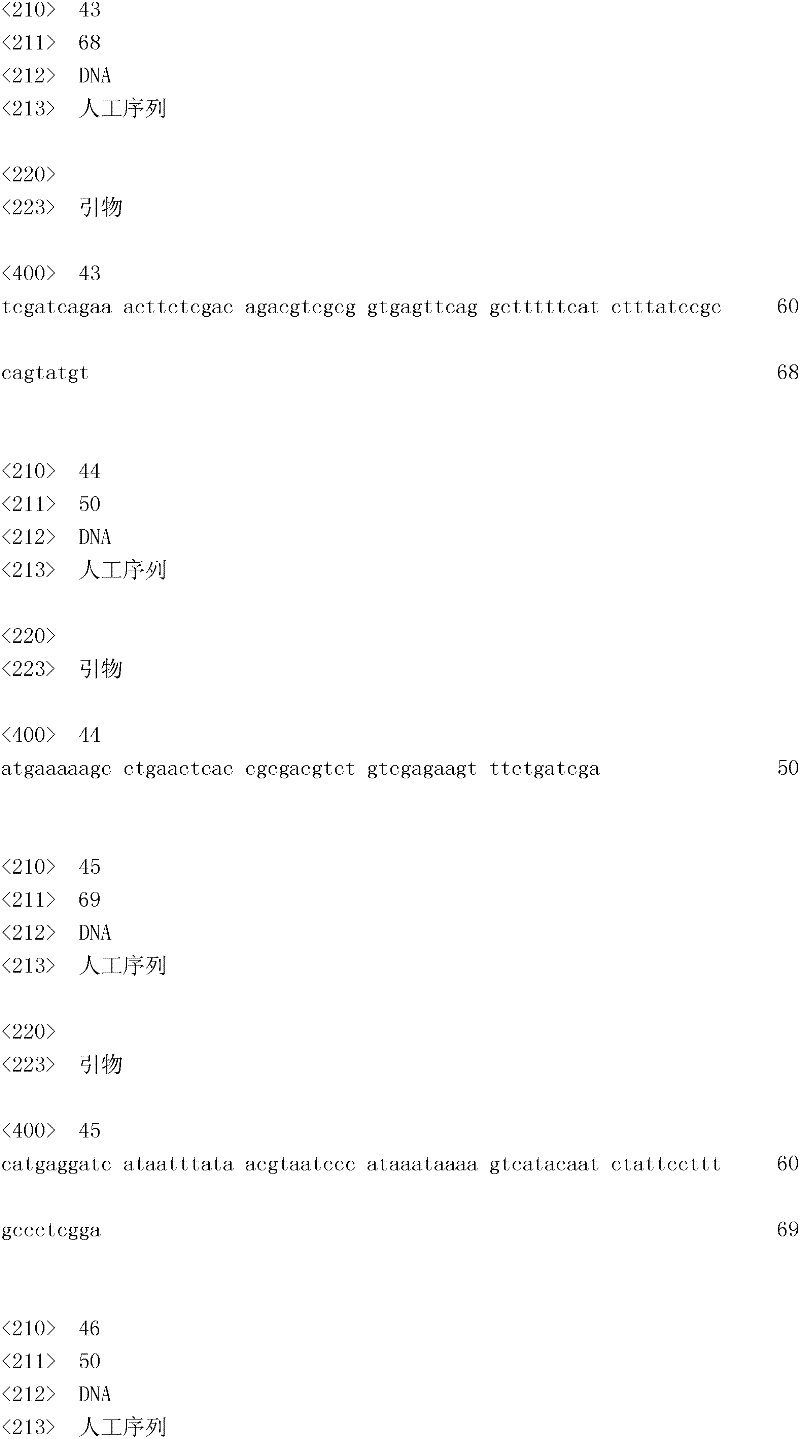 Figure IDA0000133447040000201