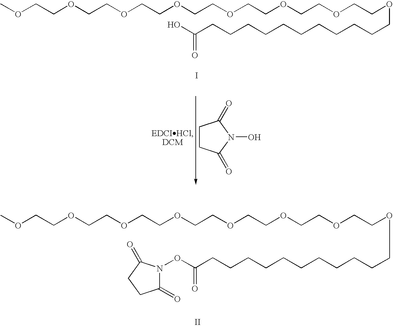 Figure US20080207505A1-20080828-C00037