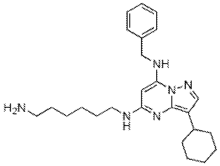 Figure imgf000183_0002