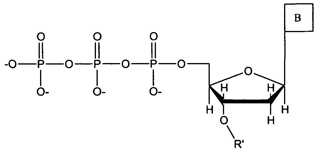 Figure imgf000125_0001