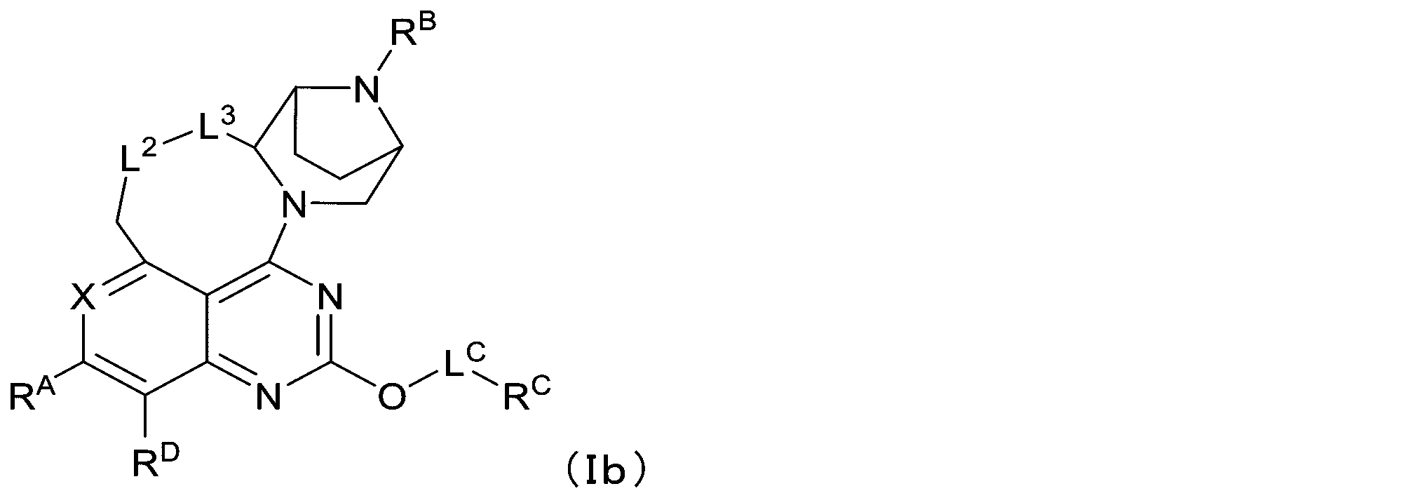 Figure 2025513258000916