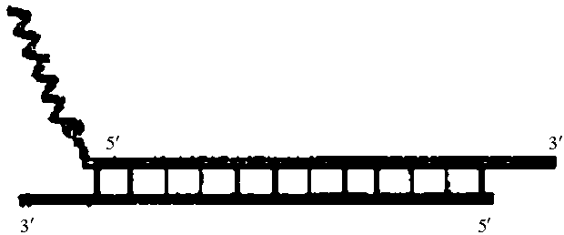 Figure US09663784-20170530-C00014