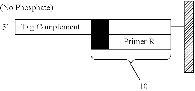 Figure US07393665-20080701-C00002