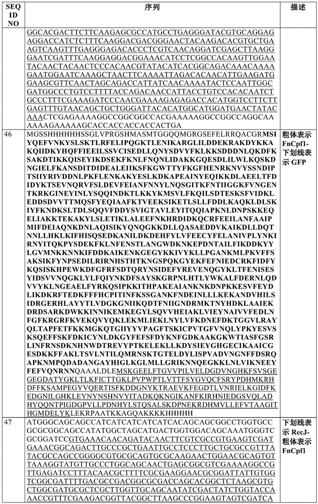 Figure BDA0002550795540001401