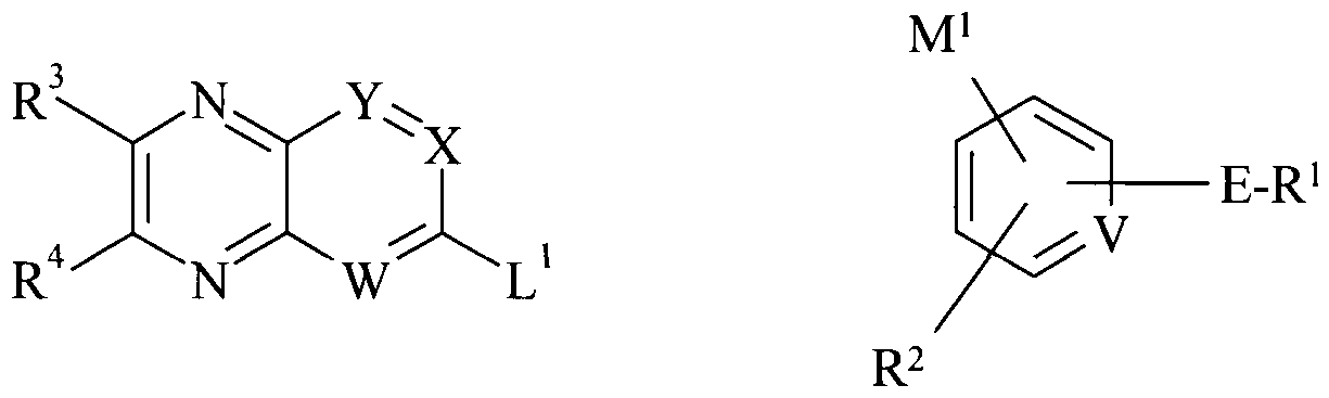 Figure imgf000019_0001