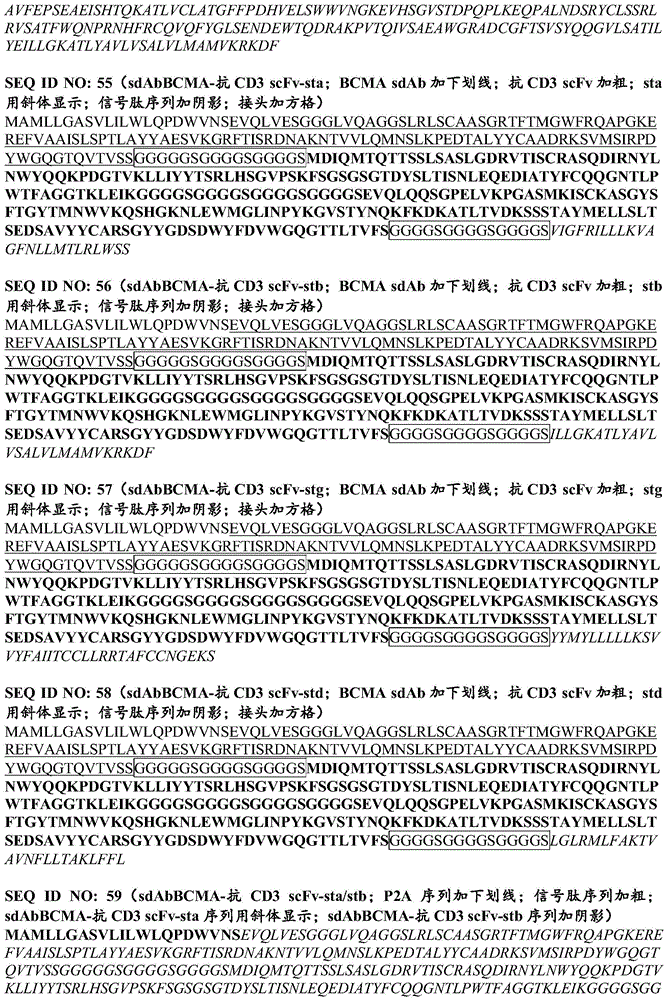 Figure BDA0003115131290001801