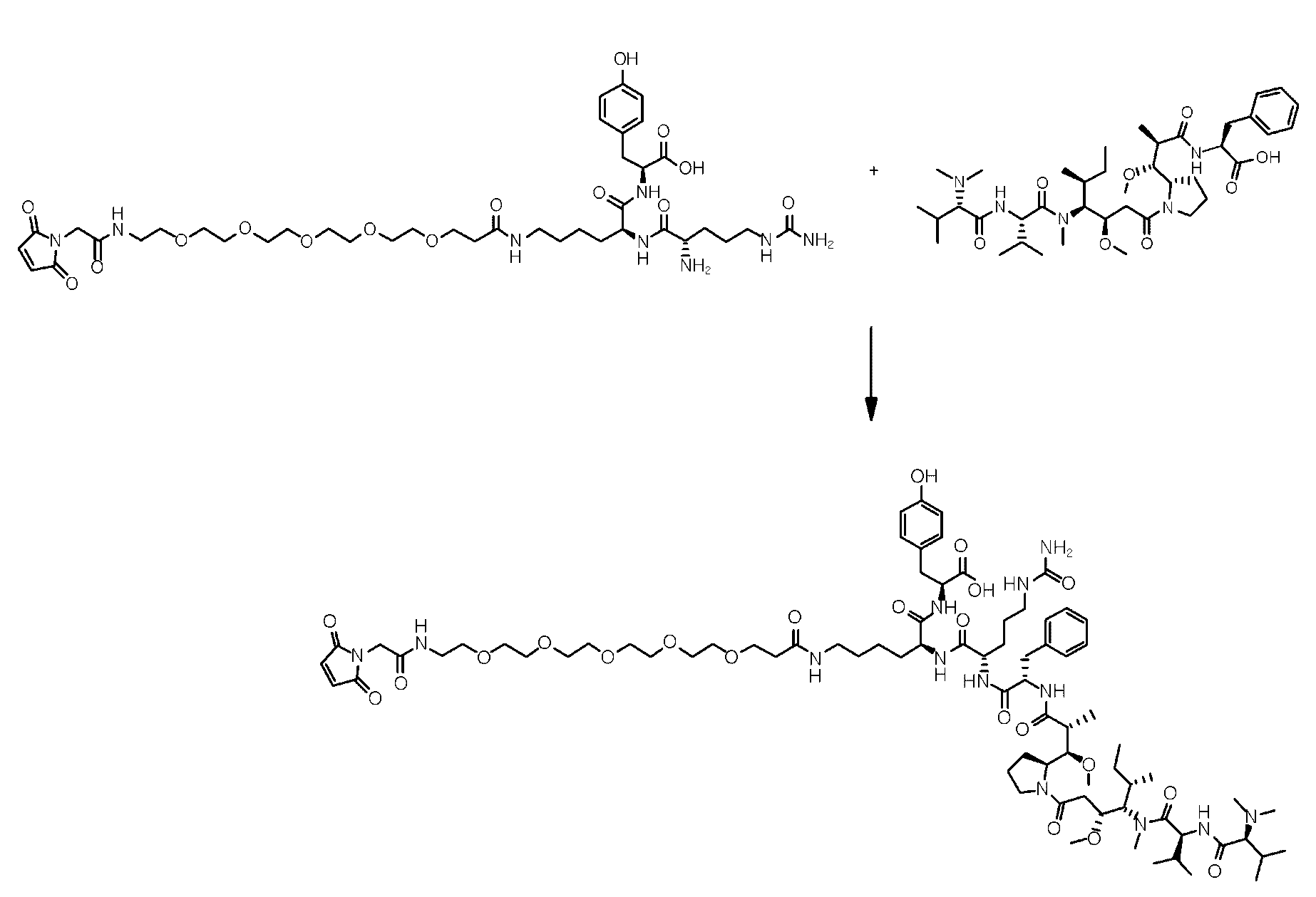 Figure PCTKR2023018574-appb-img-000106