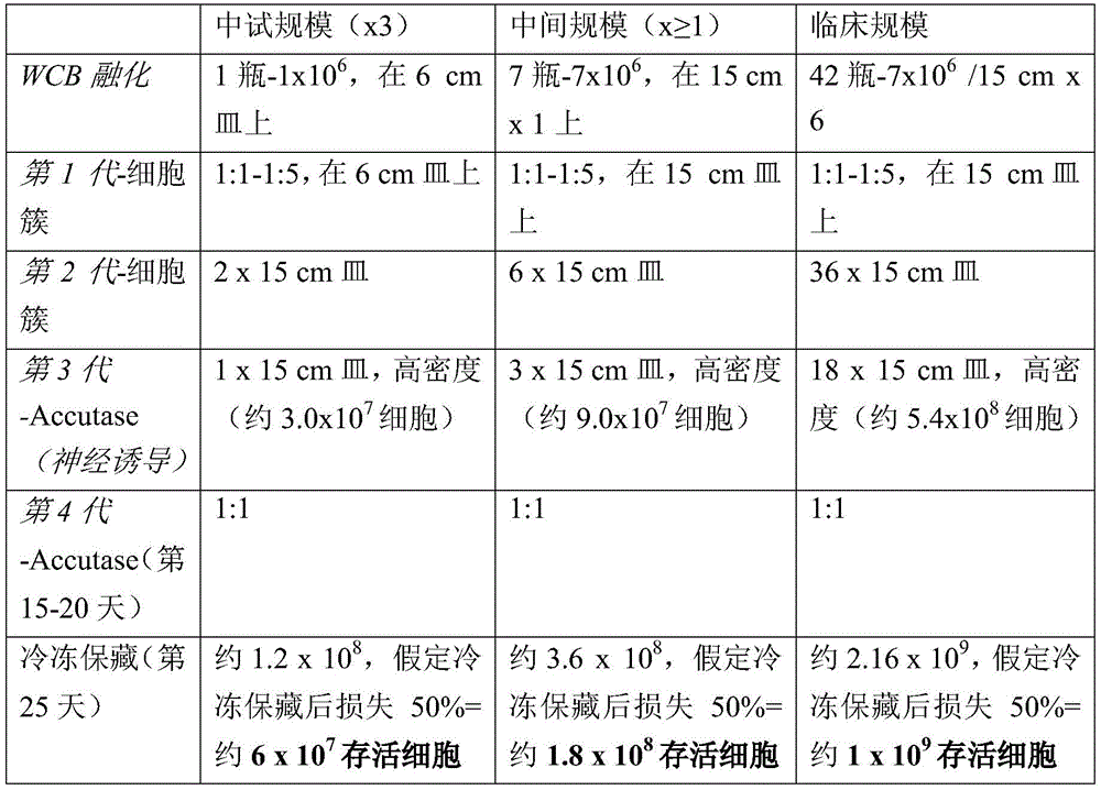 Figure RE-GDA0002236586560001372