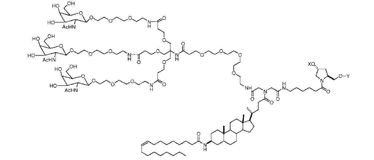 Figure 0007602507000011